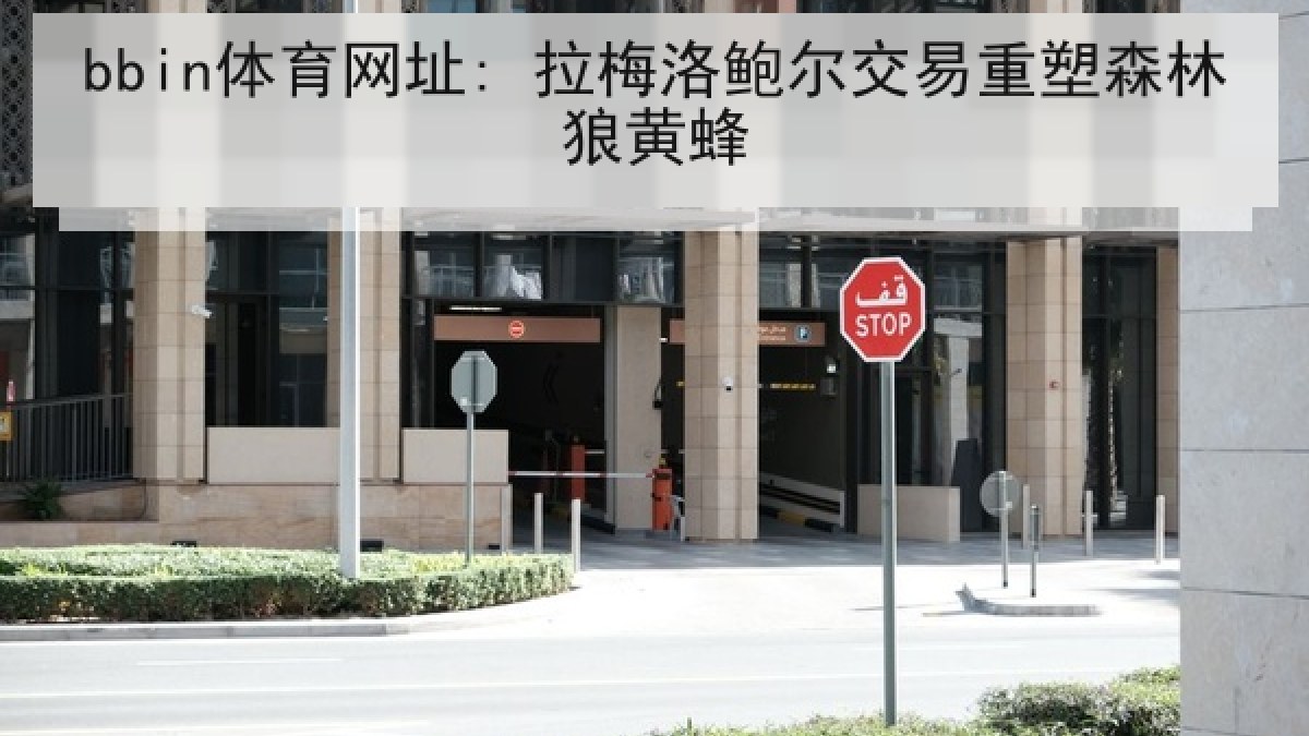 bbin体育网址: 拉梅洛鲍尔交易重塑森林狼黄蜂 bbin体育网址: 拉梅洛鲍尔交易重塑森林狼黄蜂